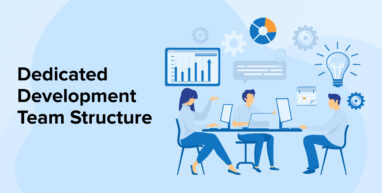 Dedicated Development Team Structure Dedicated Development Team Structure